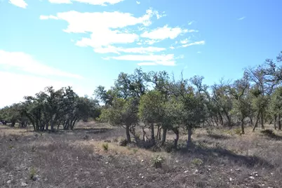101 Roan Meadows Ln, Harper, TX 78631 - Photo 11