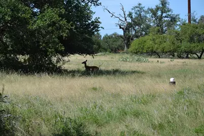 1152 Duderstadt Rd, Harper, TX 78631 - Photo 25