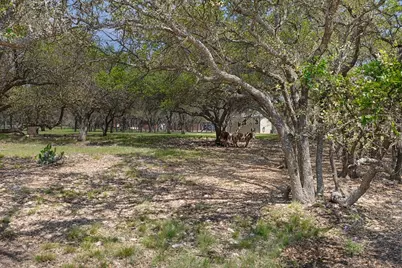 222 Spanish Oak Trail, Harper, TX 78631 - Photo 41