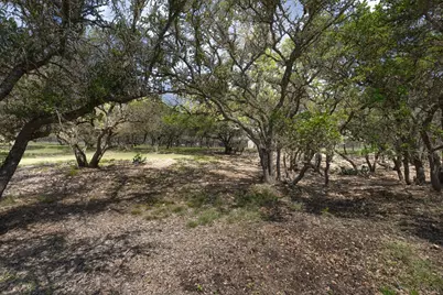 222 Spanish Oak Trail, Harper, TX 78631 - Photo 41