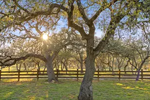 4827 Maenius Rd, Blanco, TX 78606 - Photo 1