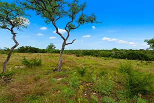 337 Colt Valley Rd, Fredericksburg, TX 78624 - Photo 37