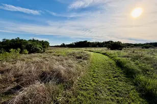 3513 N US Hwy 281, Blanco, TX 78606 - Photo 27