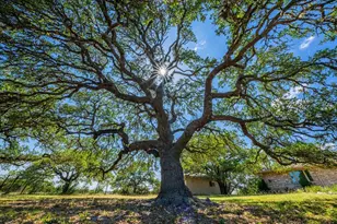 113 Indian Bluff Dr, Kerrville, TX 78028 - Photo 25