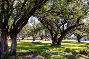 272 Schaper Rd, Fredericksburg, TX 78624 - Photo 7