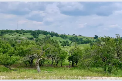 Lot 14 Badger Ridge Rd, Fredericksburg, TX 78624 - Photo 5