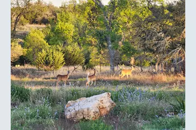 7991 Ranch Rd 965, Fredericksburg, TX 78624 - Photo 49