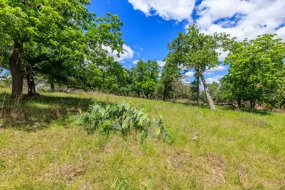 2100 Grape Creek Rd, Fredericksburg, TX 78624 - Photo 17