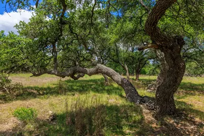 2100 Grape Creek Rd, Fredericksburg, TX 78624 - Photo 5