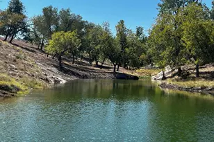 481 Living Water Ranch Rd, Harper, TX 78631 - Photo 1
