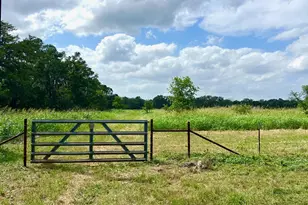 Tbd - Lot 43A Narrows Rd, Blanco, TX 78606 - Photo 1