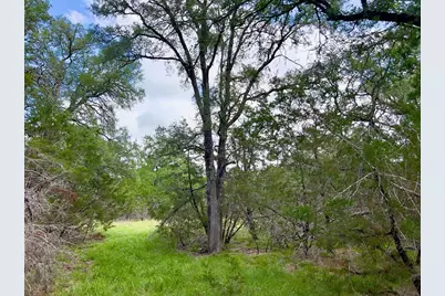 Tbd -  Lot 43A Narrows Rd, Blanco, TX 78606 - Photo 3