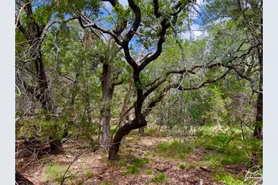 Tbd -  Lot 43A Narrows Rd, Blanco, TX 78606 - Photo 5