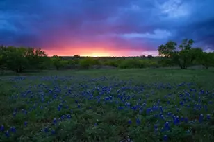 272 Slate Rock Rd, Willow City, TX 78675 - Photo 23
