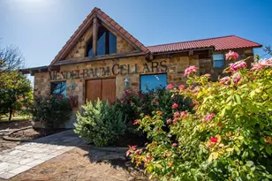 10207 E US Hwy 290, Fredericksburg, TX 78624 - Photo 3