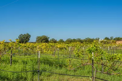 10207 E US Hwy 290, Fredericksburg, TX 78624 - Photo 19