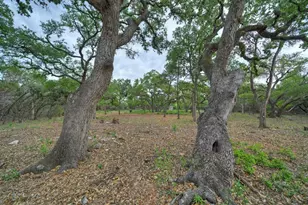 11916 Jim Bridger Dr, Austin, TX 78737 - Photo 27