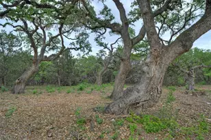 11916 Jim Bridger Dr, Austin, TX 78737 - Photo 25