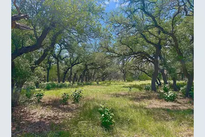 1366 Narrows Rd #1, Blanco, TX 78606 - Photo 9