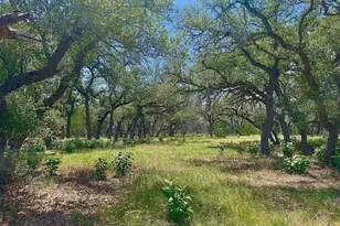 1366 Narrows Rd, Blanco, TX 78606 - Photo 9