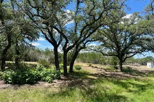 1366 Narrows Rd, Blanco, TX 78606 - Photo 7