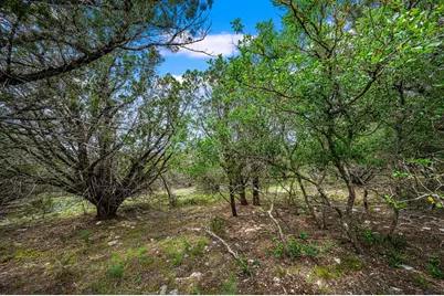 195 Countless Views Dr, Kerrville, TX 78028 - Photo 11