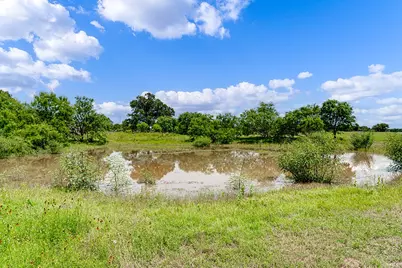 646 Victor Eckhardt Rd, Fredericksburg, TX 78624 - Photo 43