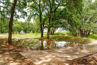 646 Victor Eckhardt Rd, Fredericksburg, TX 78624 - Photo 45
