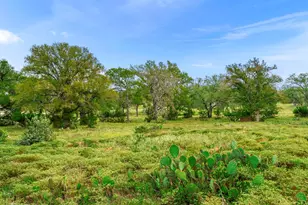 Lot 85 Axis Circle, Fredericksburg, TX 78624 - Photo 21