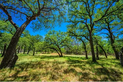1709 N Llano St, Fredericksburg, TX 78624 - Photo 17