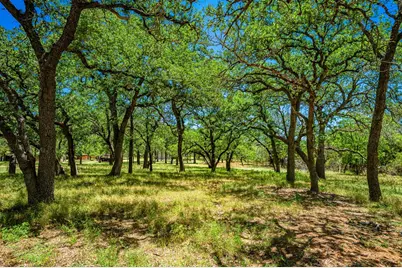 1709 N Llano St, Fredericksburg, TX 78624 - Photo 3