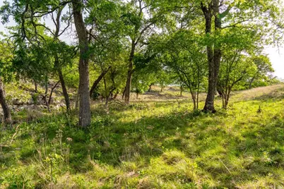 862 Grape Creek Rd, Fredericksburg, TX 78624 - Photo 79
