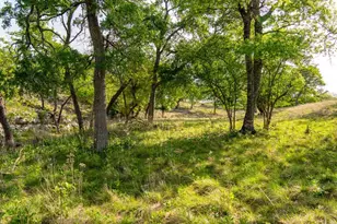 862 Grape Creek Rd, Fredericksburg, TX 78624 - Photo 79