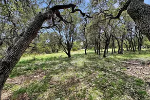815 Oxen Trail, Fredericksburg, TX 78624 - Photo 45