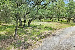 815 Oxen Trail, Fredericksburg, TX 78624 - Photo 27