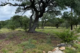 589 Rolling Hills Rd, Blanco, TX 78606 - Photo 1