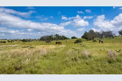 449 Jung Rd, Harper, TX 78631 - Photo 43