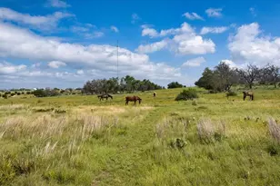 449 Jung Rd, Harper, TX 78631 - Photo 43