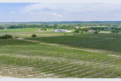 3750 Grapetown Rd, Fredericksburg, TX 78624 - Photo 9