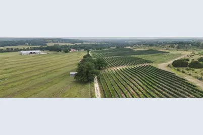 3750 Grapetown Rd, Fredericksburg, TX 78624 - Photo 17
