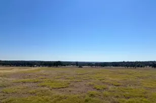 3831 Reeh Rd, Fredericksburg, TX 78624 - Photo 1