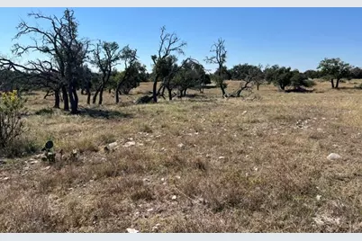 3831 Reeh Rd, Fredericksburg, TX 78624 - Photo 25