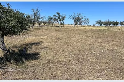 3831 Reeh Rd, Fredericksburg, TX 78624 - Photo 11