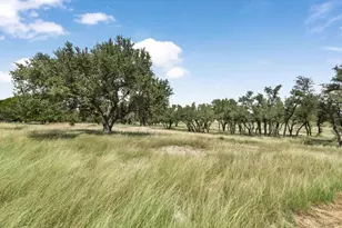 434 Gold-Schaefer Rd, Fredericksburg, TX 78624 - Photo 13