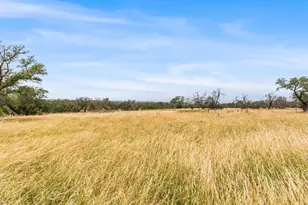 Lot 88 Axis Circle, Fredericksburg, TX 78624 - Photo 1