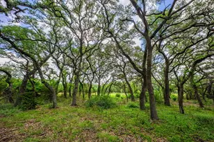 147 Gray Wolf, Blanco, TX 78606 - Photo 45