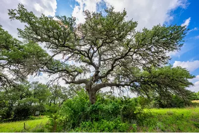 147 Gray Wolf, Blanco, TX 78606 - Photo 49