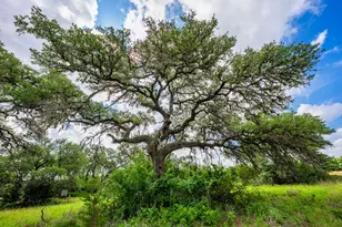 147 Gray Wolf, Blanco, TX 78606 - Photo 49