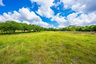 147 Gray Wolf, Blanco, TX 78606 - Photo 3