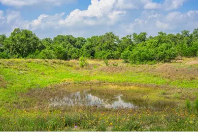 147 Gray Wolf, Blanco, TX 78606 - Photo 45